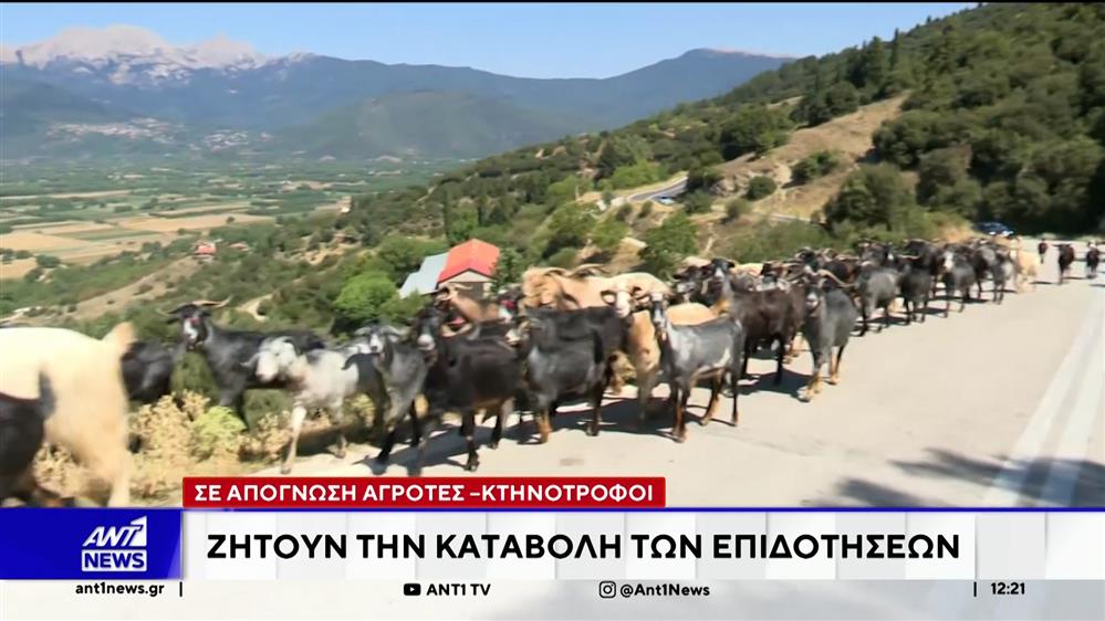 ΟΠΕΚΕΠΕ: Στα πρόθυρα κατάρρευσης οι αγρότες