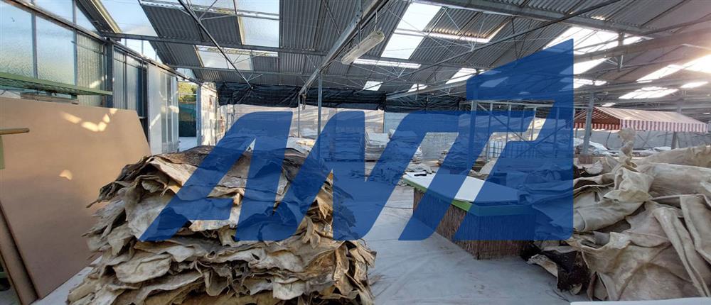 Σπάτα - Διακίνηση - Ναρκωτικά