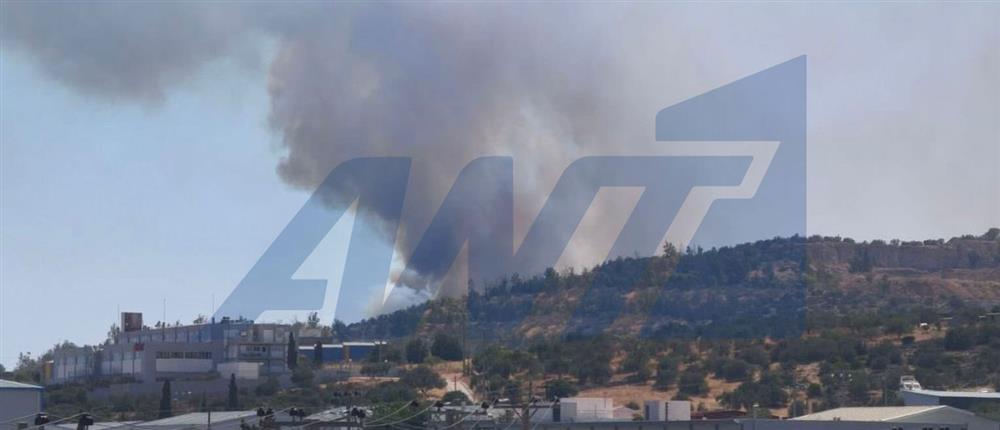 Φωτιά στο Κορωπί