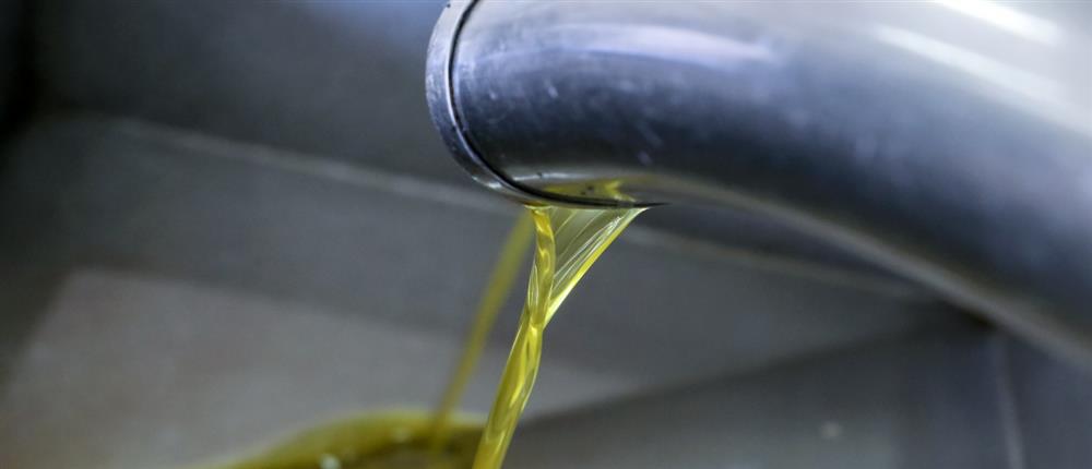 Νέα Φιλαδέλφεια: Συνελήφθη 48χρονος που έκλεβε... ελαιόλαδο και μέλι από πολυκατοικίες