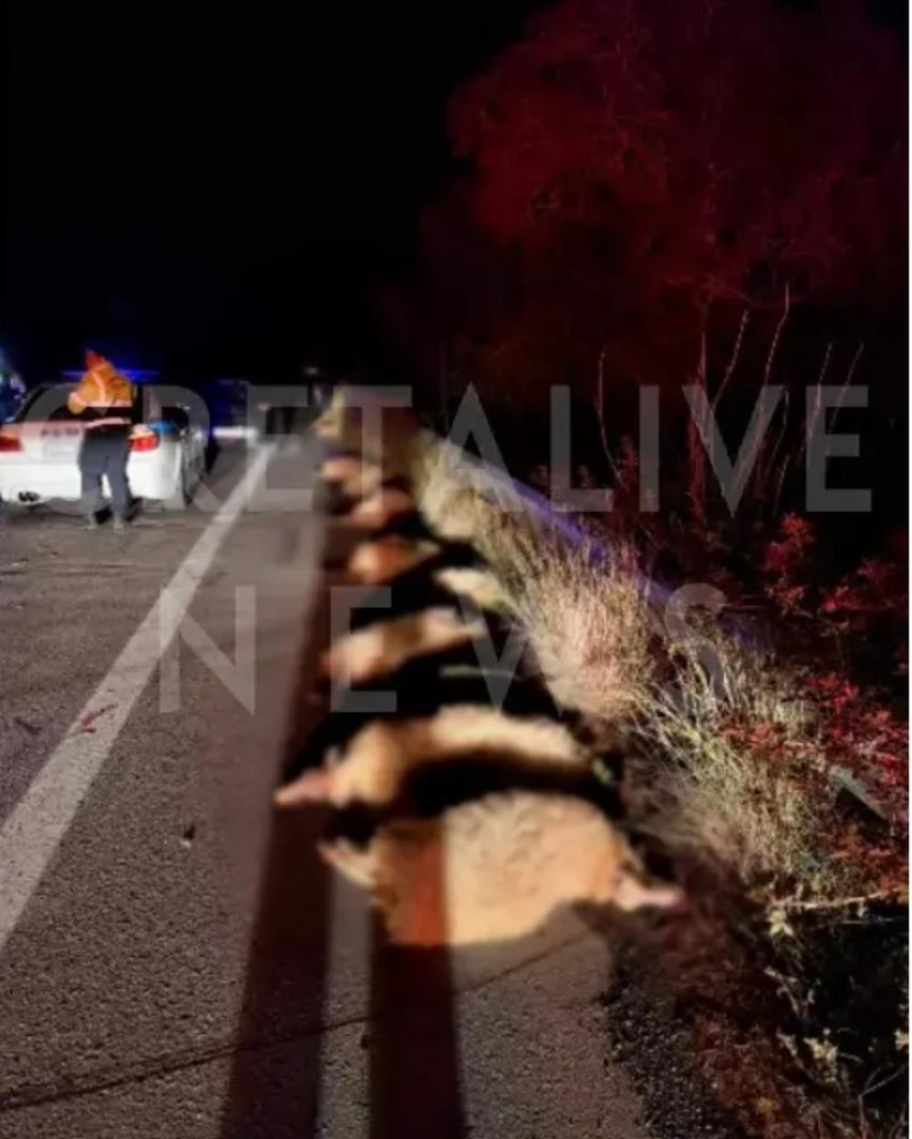 Τροχαίο - Κρήτη - Πρόβατα