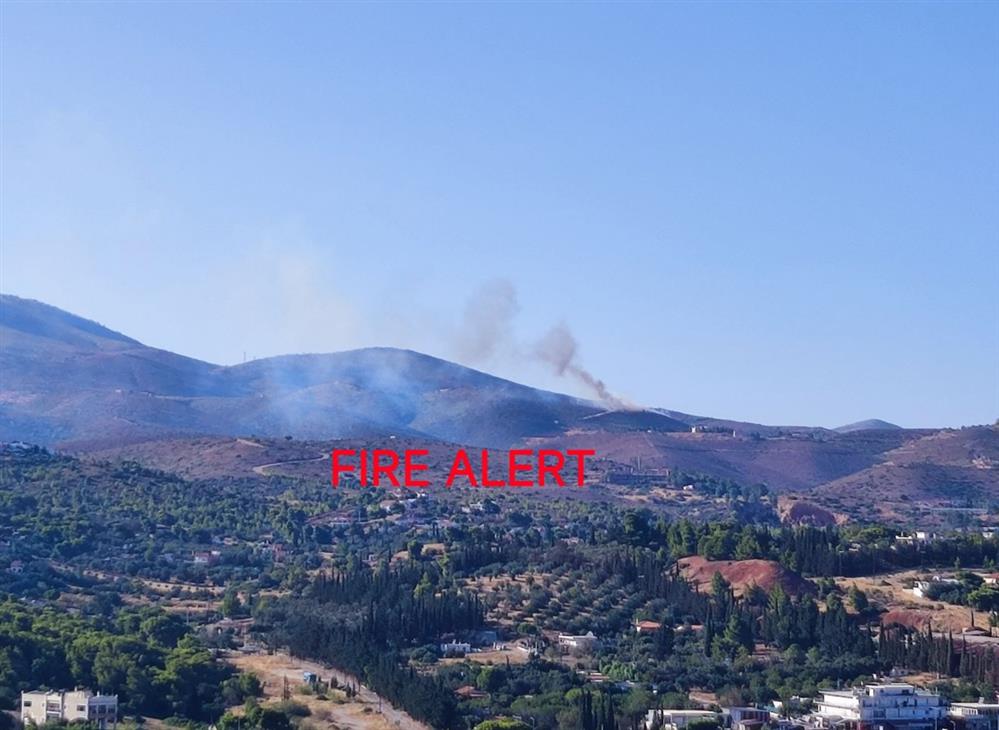 Φωτιά - Νέος Βουτζάς