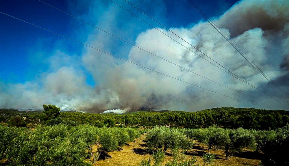 Εύβοια - Φωτιά