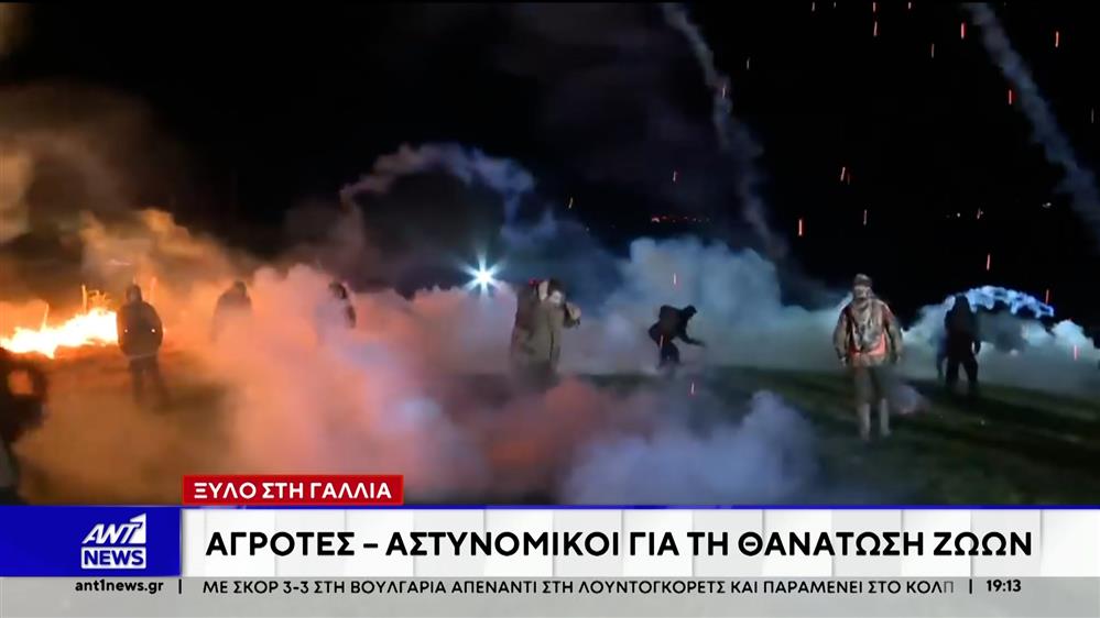 Ξύλο στη Γαλλία για τη θανάτωση ζώων