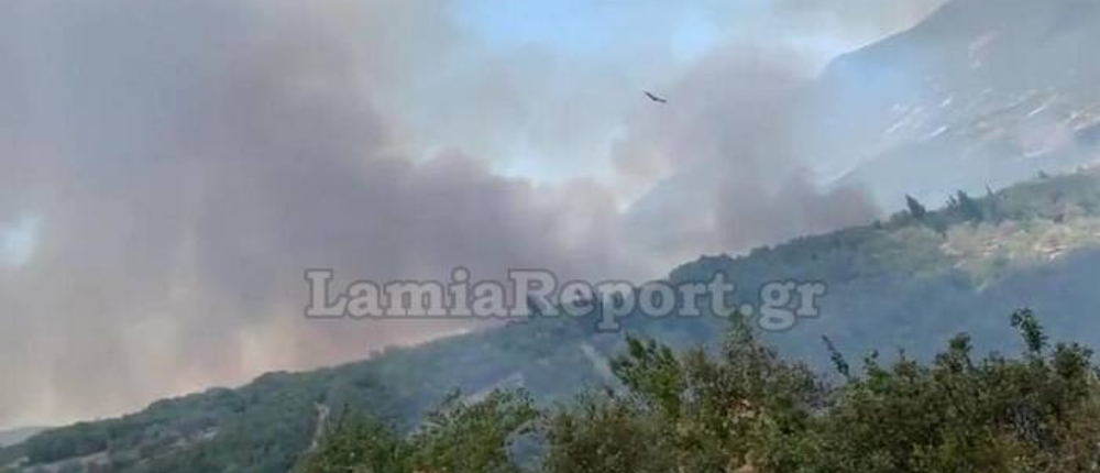 Φωτιά Παρνασσός
