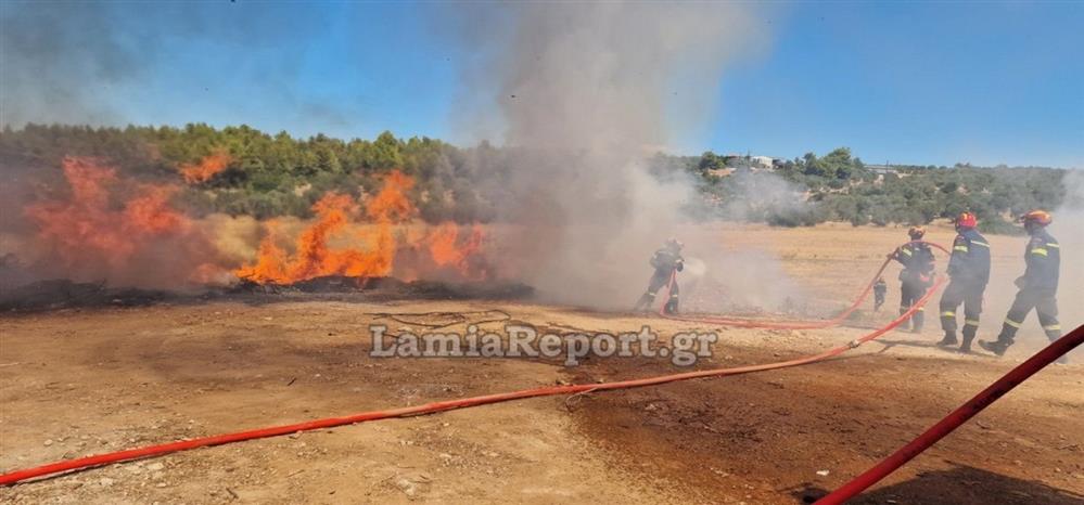Φθιώτιδα - φωτιά - σκουπίδια Φθιώτιδα - φωτιά - σκουπίδια