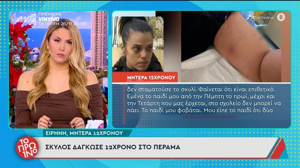 Σκύλος δάγκωσε 12χρονο στο Πέραμα – Το Πρωινό – 24/11/2025