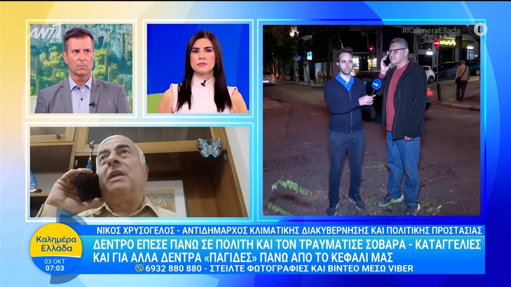 Δέντρο έπεσε πάνω σε πολίτη και τον τραυμάτισε σοβαρά - Καλημέρα Ελλάδα - 03/10/2025