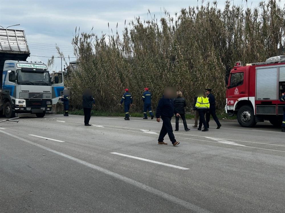 ΑΓΡΙΝΙΟ - ΝΤΑΛΙΚΑ ΑΓΡΙΝΙΟ - ΝΤΑΛΙΚΑ