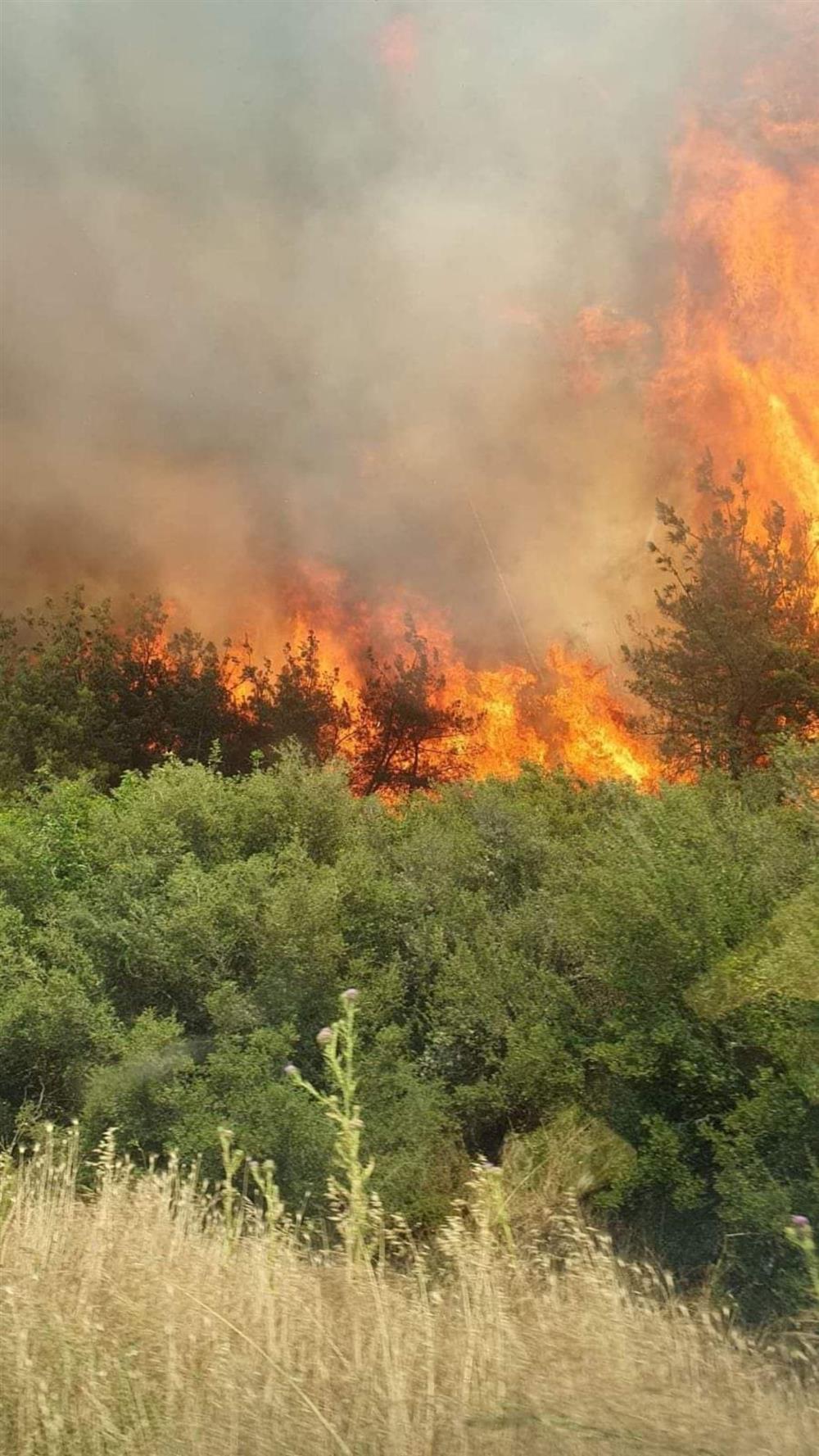 Φωτιά - Βόλβη Φωτιά - Βόλβη