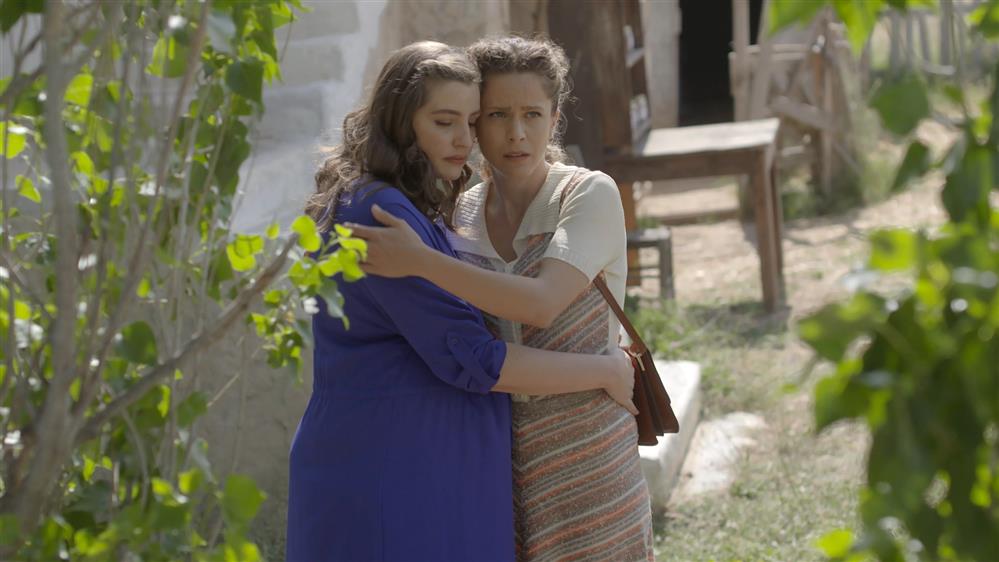 ΑΓΡΙΕΣ ΜΕΛΙΣΣΕΣ – ΕΠΕΙΣΟΔΙΟ 134 – Γ ΚΥΚΛΟΣ