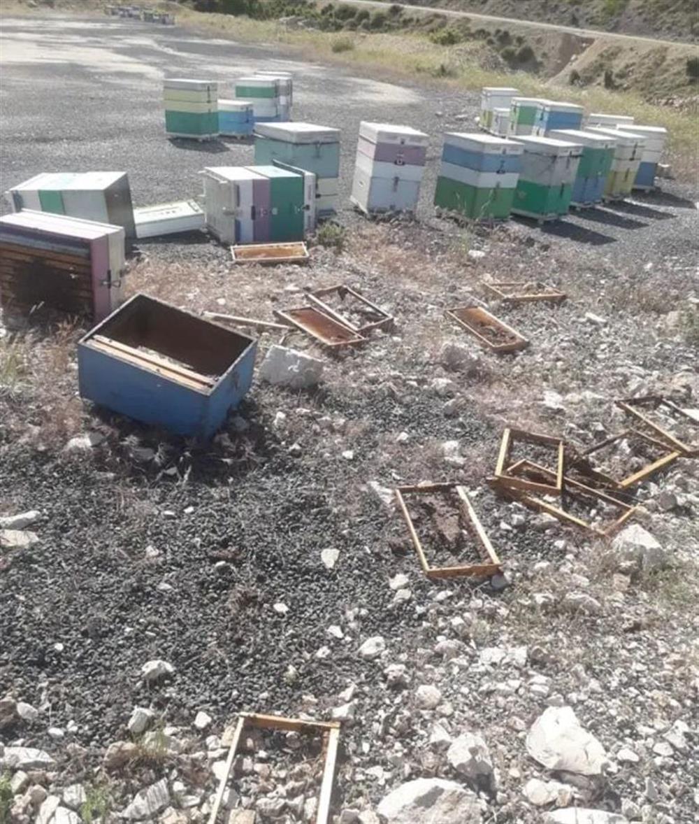 Μελίσσια - ζημιές Μελίσσια - ζημιές