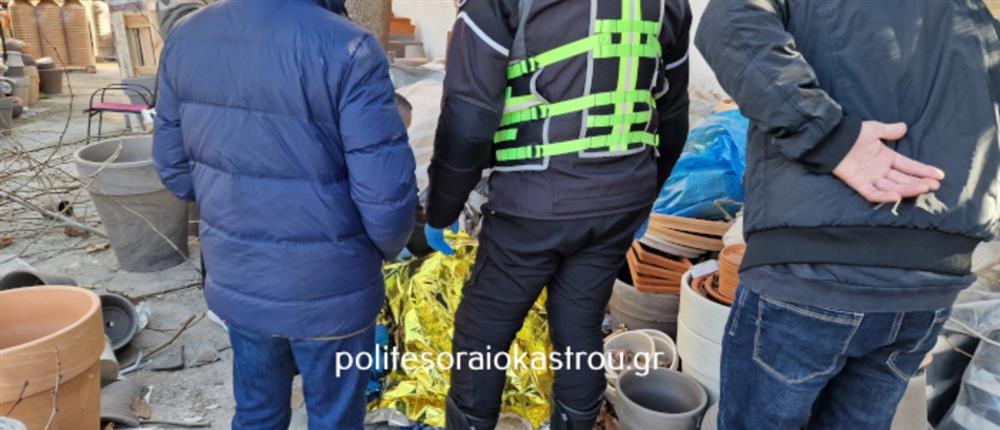 Κλάδεμα δέντρου - Θεσσαλονίκη Κλάδεμα δέντρου - Θεσσαλονίκη