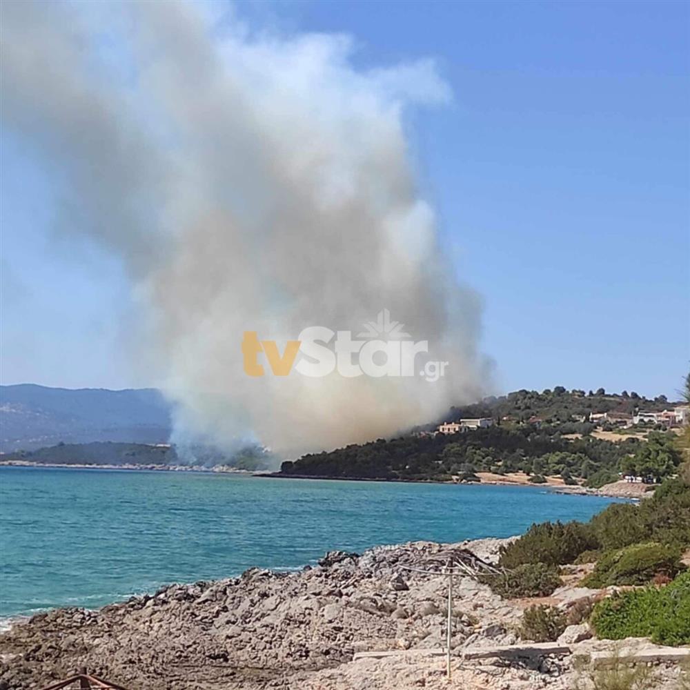 νεα αρτακη φωτια