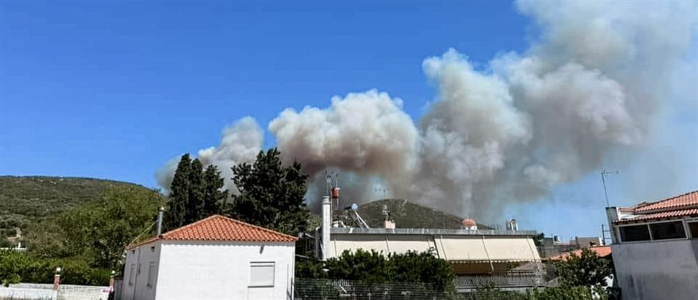 Εύβοια: Φωτιά σε δασική έκταση ανάμεσα σε οικισμούς - Ήχησε το 112 (βίντεο)