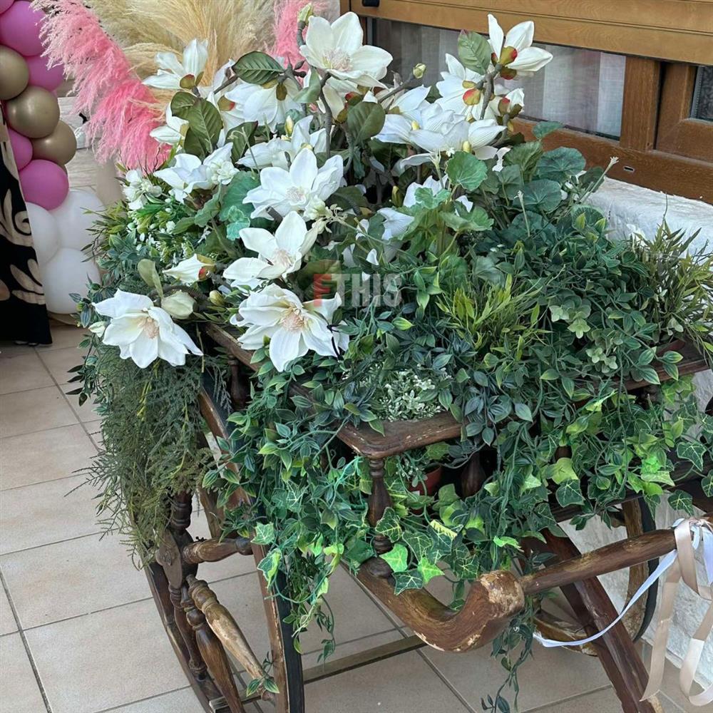 Άντζελα Δημητρίου Άντζελα Δημητρίου