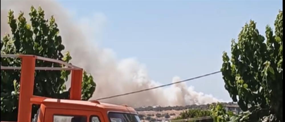 Φωτιά - Νέα Αρτάκη: Μήνυμα του 112 για εκκένωση οικισμών (εικόνες)