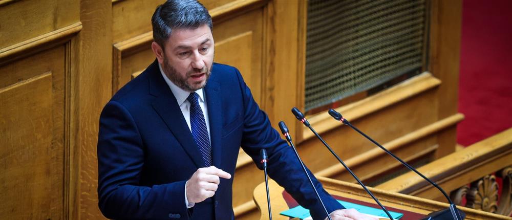 Νίκος Ανδρουλάκης - Βουλή