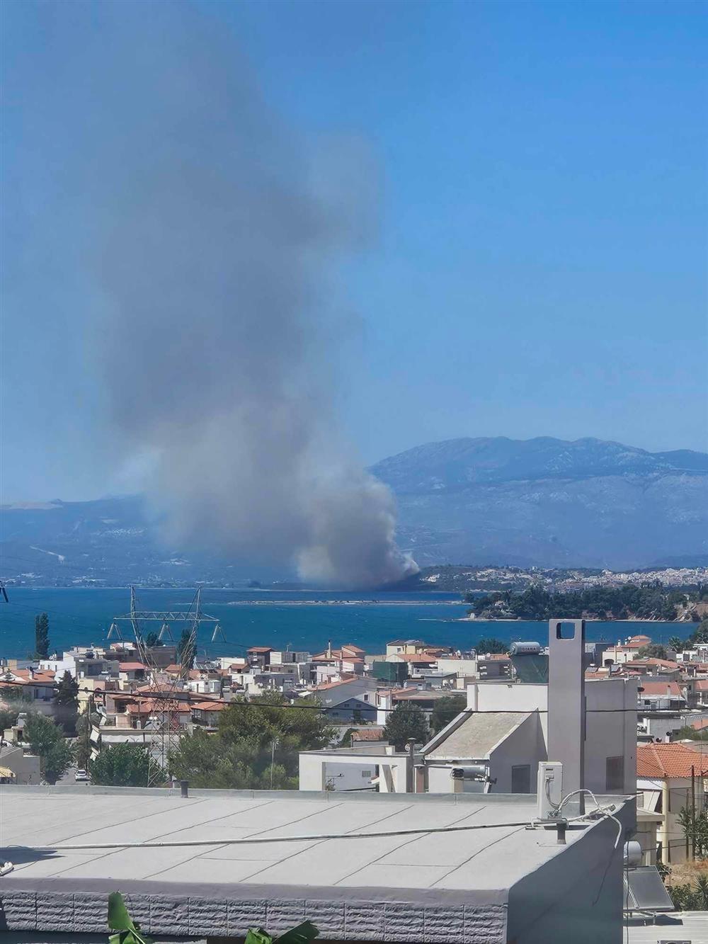 νεα αρτάκη φωτια