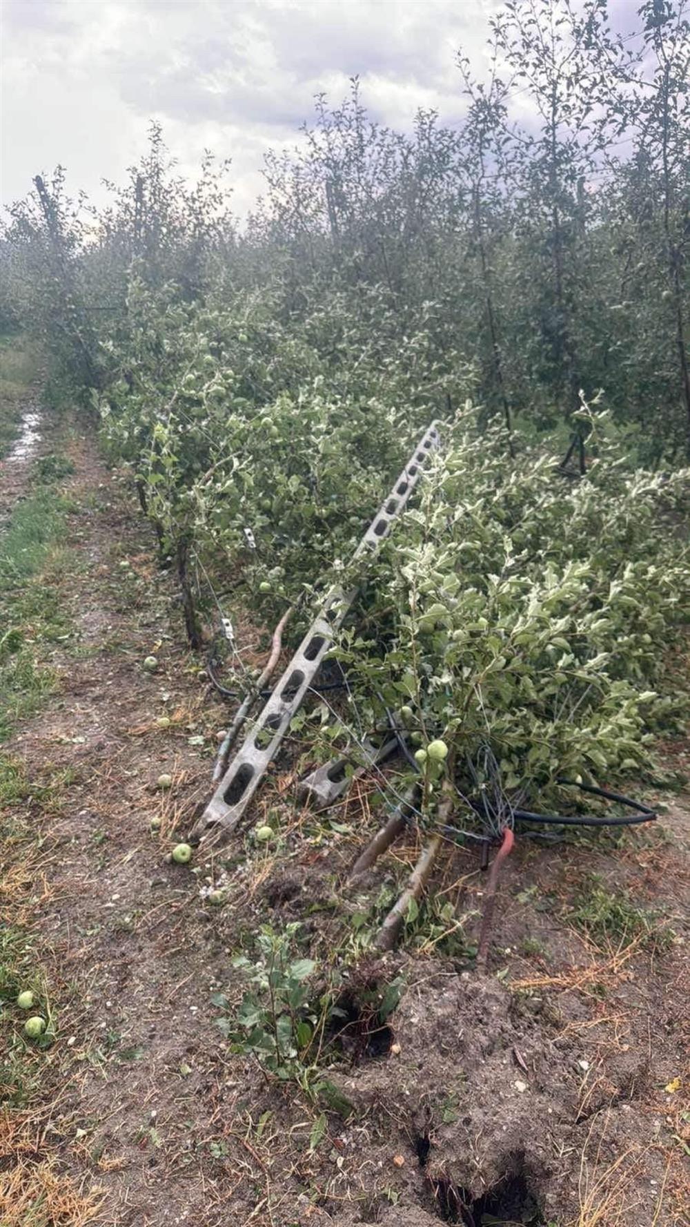 Πέλλα - Χαλάζι Πέλλα - Χαλάζι