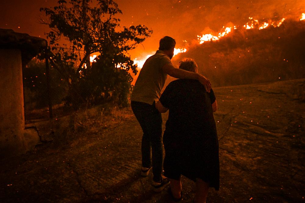 φωτια ηλεια