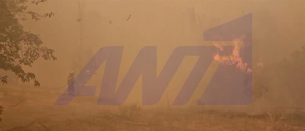 Φωτιά στην Πάτρα: Συνεχίζεται η μάχη με τις φλόγες