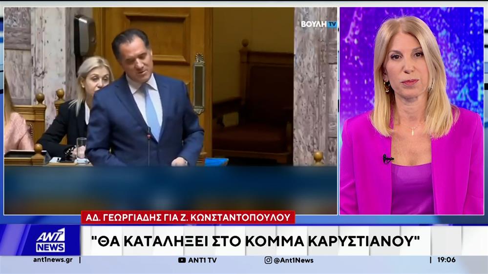 Ζωή Κωνσταντοπούλου: Μήνυσε μεσάνυχτα τον Άδωνι Γεωργιάδη