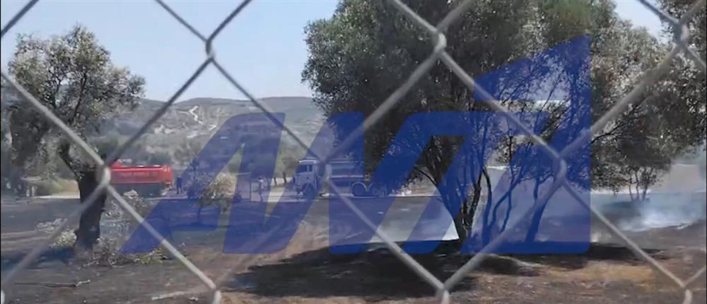Οριοθετήθηκε η φωτιά στο Κορωπί - Σε υψηλό κίνδυνο εκδήλωσης πυρκαγιάς παραμένει η περιοχή