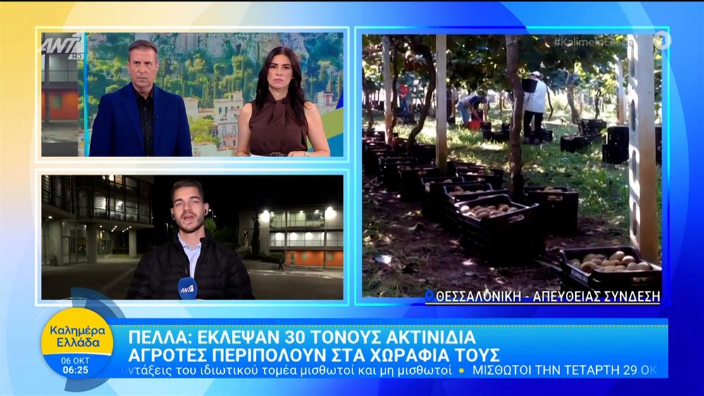 Πέλλα: Έκλεψαν 30 τόνους ακτινίδια – Καλημέρα Ελλάδα – 06/10/2025
