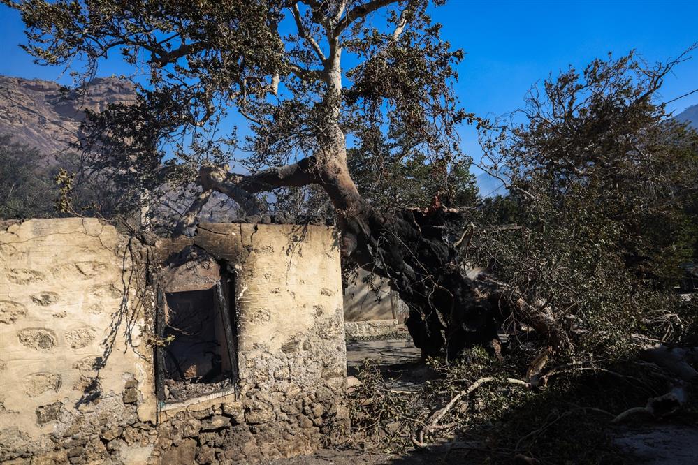 Ιεράπετρα - φωτιά - 2η μέρα