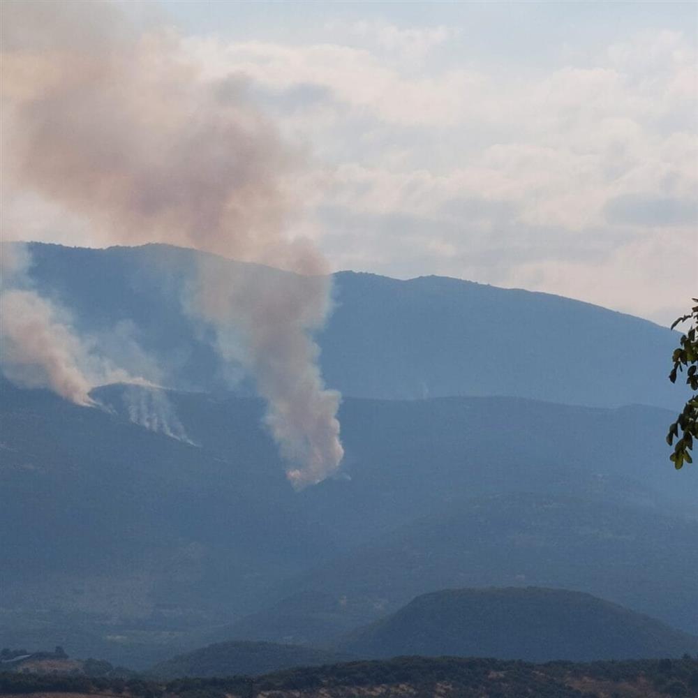 Πέλλα - φωτιά - Πάικο Πέλλα - φωτιά - Πάικο