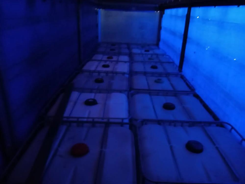 θεσσαλονικη - οργανωση