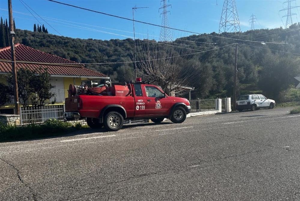 Τριχωνίδα - Απανθρωκωμένος - Ηλικιωμένος Τριχωνίδα - Απανθρωκωμένος - Ηλικιωμένος