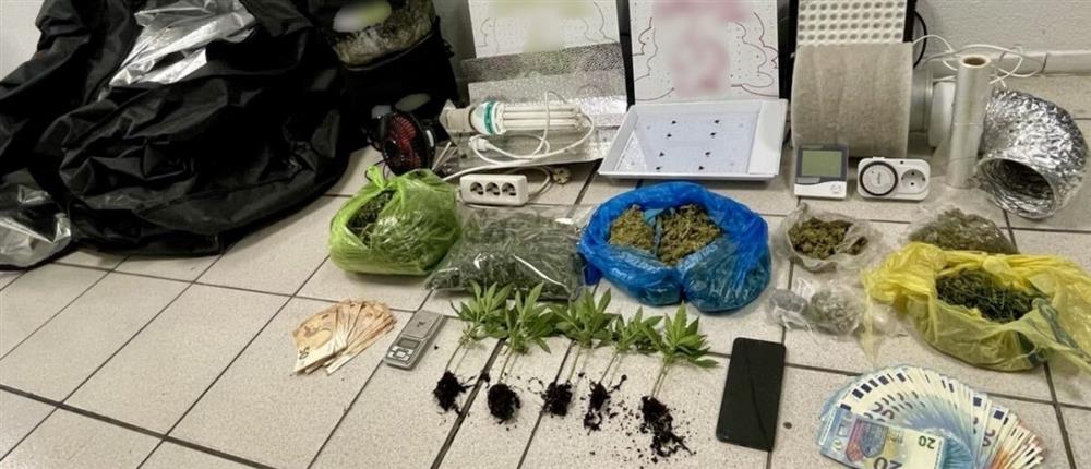 Κατερίνη: Συνελήφθη άνδρας που καλλιεργούσε δενδρύλλια κάνναβης στο σπίτι του