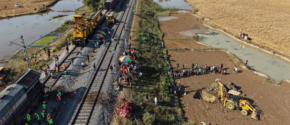 Ινδία: 7 ελέφαντες νεκροί - Τους χτύπησε επιβατικό τρένο (Εικόνες)
