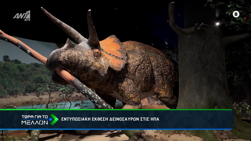 Το Αμερικανικό Μουσείο Φυσικής Ιστορίας