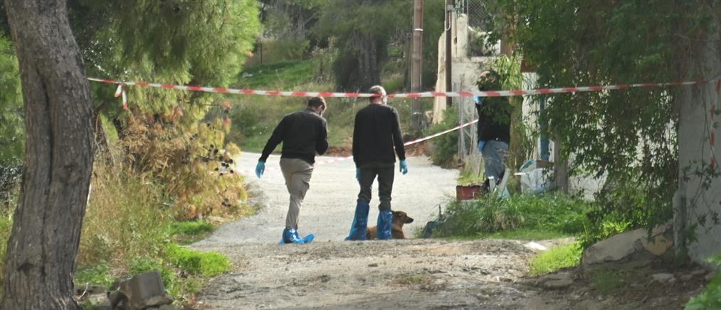 Σαλαμίνα - "Αποκαλύψεις": Είχαν ξαναληστέψει τη γιαγιά μου και υποψιαζόταν τη νύφη της, λέει η εγγονή της 75χρονης