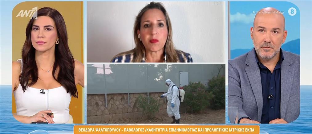 Ψαλτοπούλου  για το ιό του δυτικού Νείλου: Σταδιακά ίσως γίνεται ένα πανευρωπαϊκό πρόβλημα