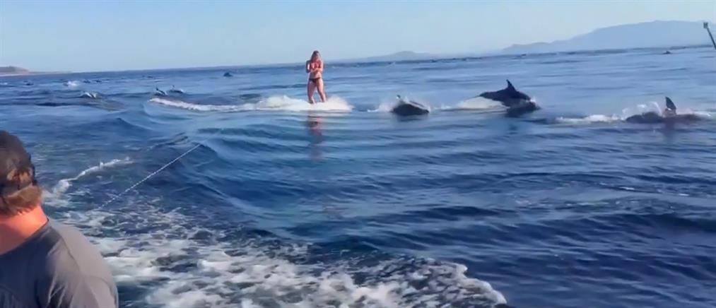 Wakeboard παρέα με… δελφίνια!