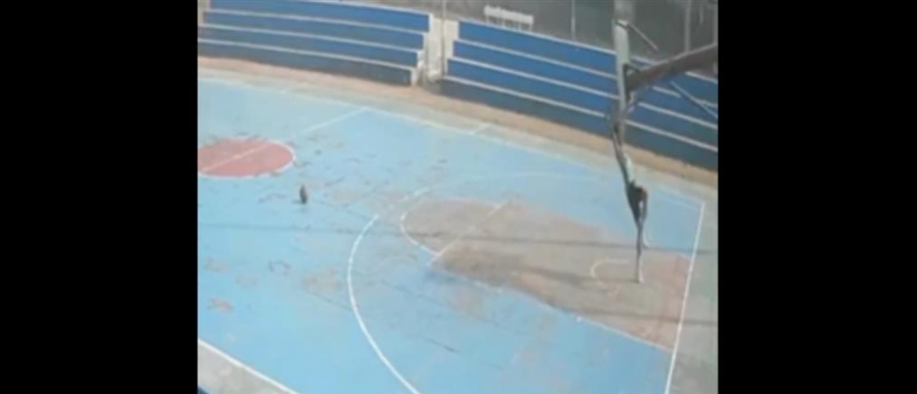 Ινδία: Μπασκέτα κατέρρευσε και τραυμάτισε θανάσιμα έναν 16χρονο (βίντεο)