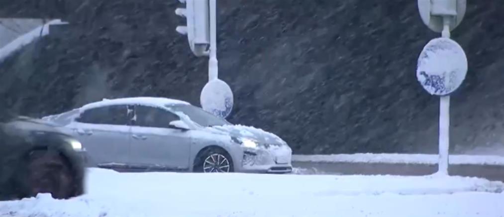 Ολλανδία: Ανεστάλησαν προς το παρόν όλα τα δρομολόγια των τρένων λόγω του χιονιού και του πάγου (βίντεο)