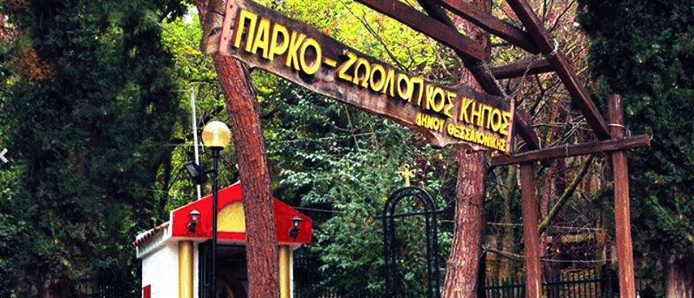 Θεσσαλονίκη: Ο Ζωολογικός κήπος κλείνει μέχρι νεωτέρας