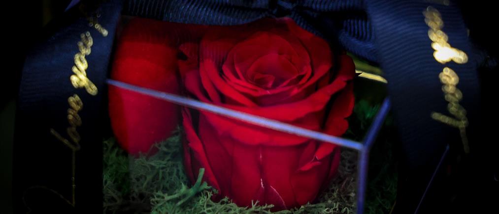 Εορτολόγιο: Ποιοι γιορτάζουν σήμερα 28 Νοεμβρίου