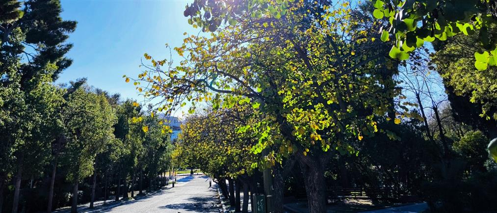 Τι καιρό θα κάνει την Τετάρτη