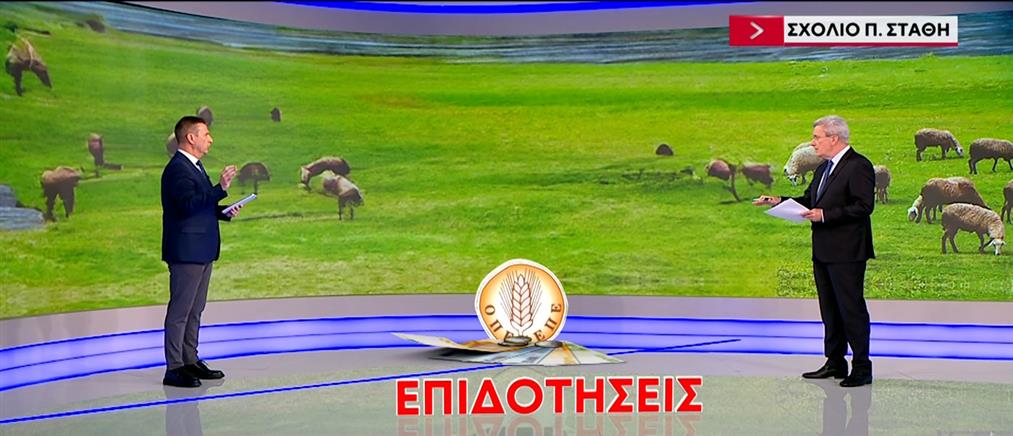 Παναγιώτης Στάθης στον ΑΝΤ1: Ούτε ένα ευρώ  δεν επέστρεψαν οι αγρότες που εμπλέκονται στο σκάνδαλο ΟΠΕΚΕΠΕ
