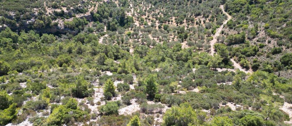 Σίκινος: Εντοπίστηκε σκελετός που ανήκει σε εξαφανισμένη Γαλλίδα τουρίστρια