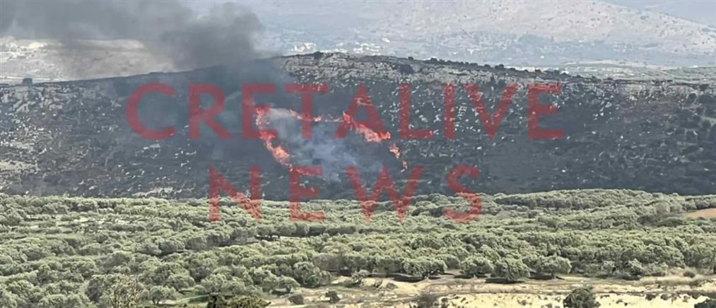 Φωτιά τώρα στο Ηράκλειο – Κινητοποίηση της Πυροσβεστικής (εικόνες)