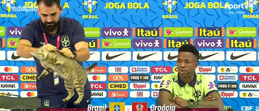 Μουντιάλ 2022: έδιωξαν... γάτα που βόλταρε μπροστά από τον Βινίσιους (βίντεο)