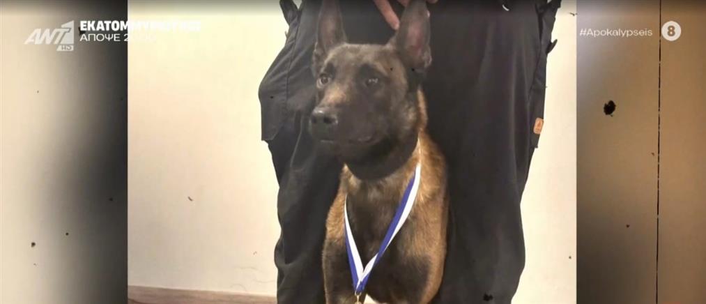 "Αποκαλύψεις"- Echo: Θρίλερ με τον θάνατο του θρυλικού σκύλου-ερευνητή της Anubis (βίντεο)