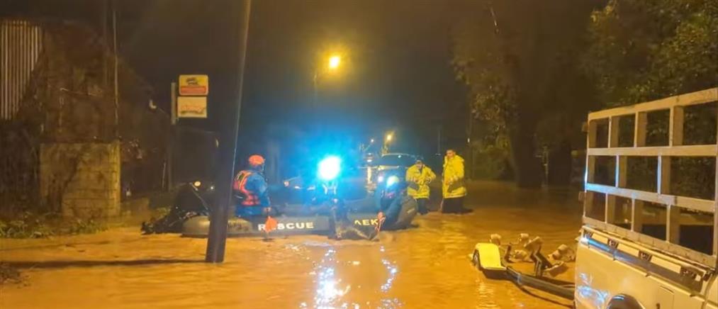 Φιλιππιάδα: Απεγκλωβίστηκε άλογο που είχε παγιδευτεί από την κακοκαιρία (Βίντεο)